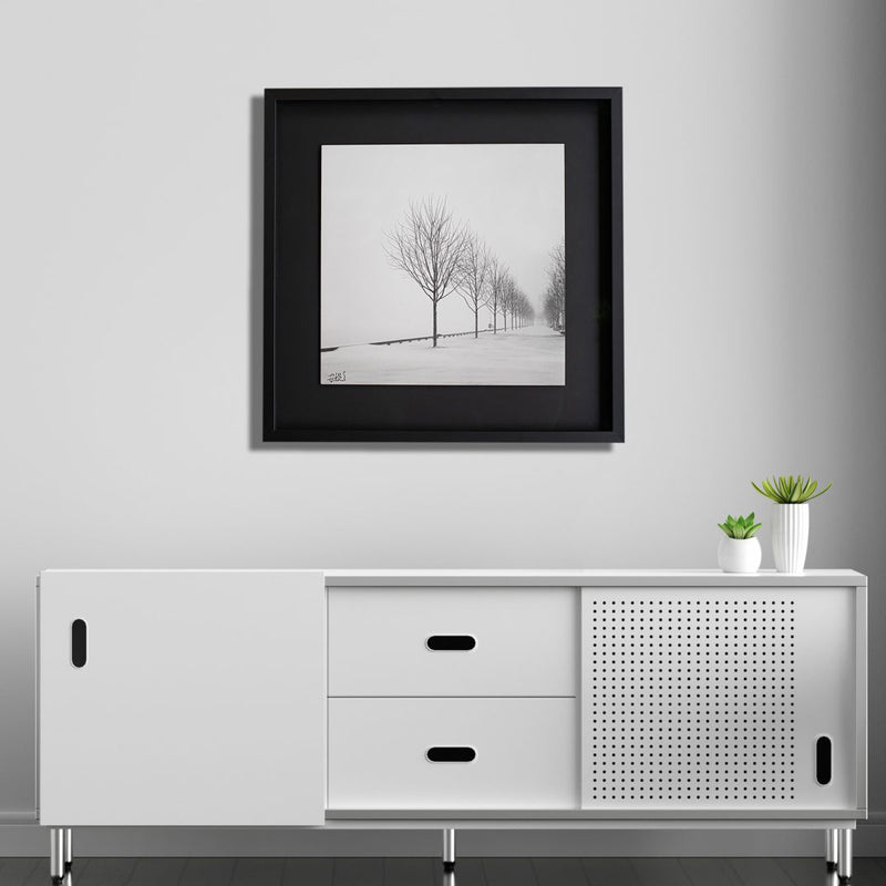 Load image into Gallery viewer, Shadow Box
