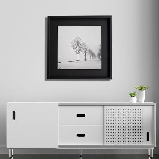 Shadow Box
