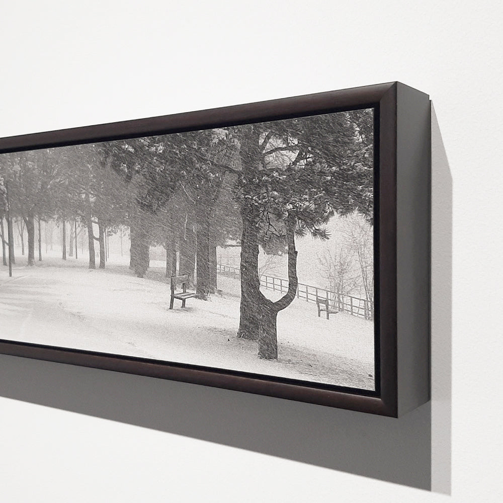 Angled view of a black floater frame around a black-and-white winter landscape.
